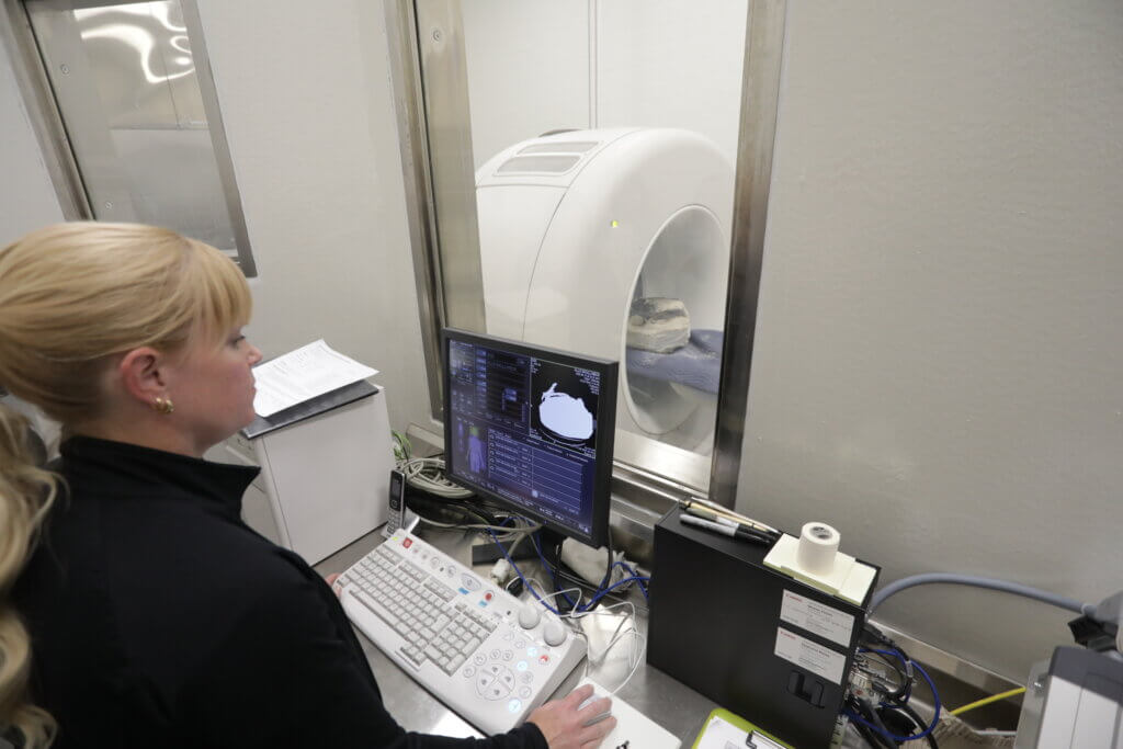 A blonde woman sitting at a computer initiating the CT scanner, visible through a glass window.