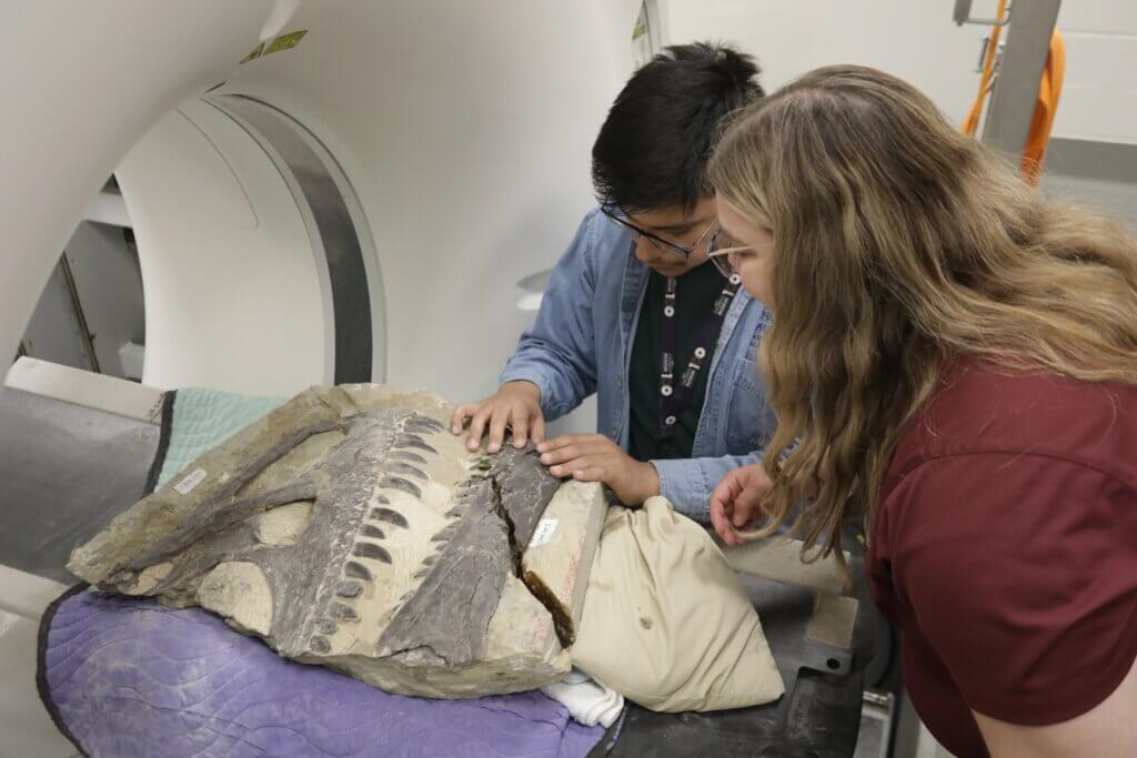 A man and woman are handling the fossil as it sits ready for imaging. The man is in a blue denim shirt and the woman is in a maroon shirt.