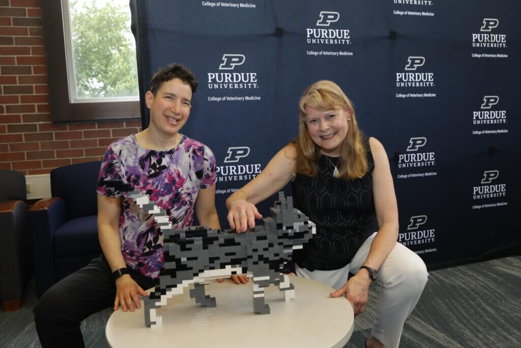 two people sitting at a short, round table. On the table is a gray lego cat