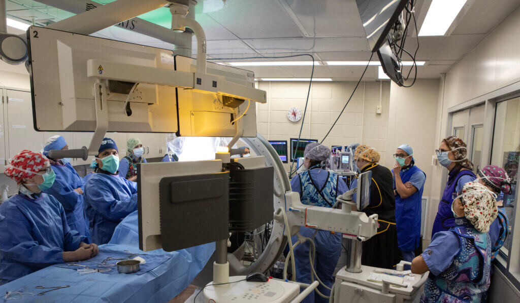 A group of medical professionals wearing scrubs are gathered around a medical room.