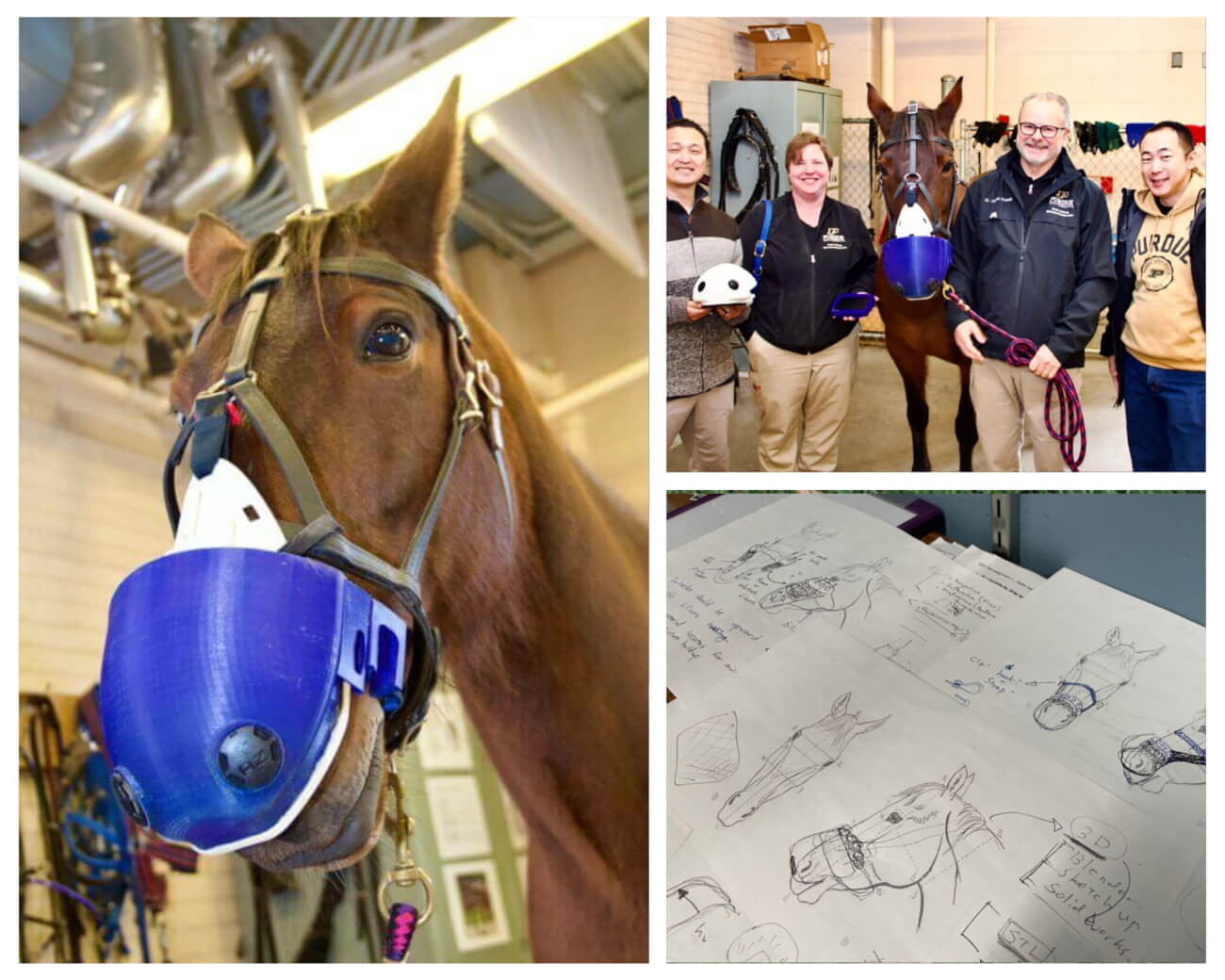 Collage of images featuring Leila modeling the equine respirator; the team who designed and tested the equine respirator; and the design drawings.