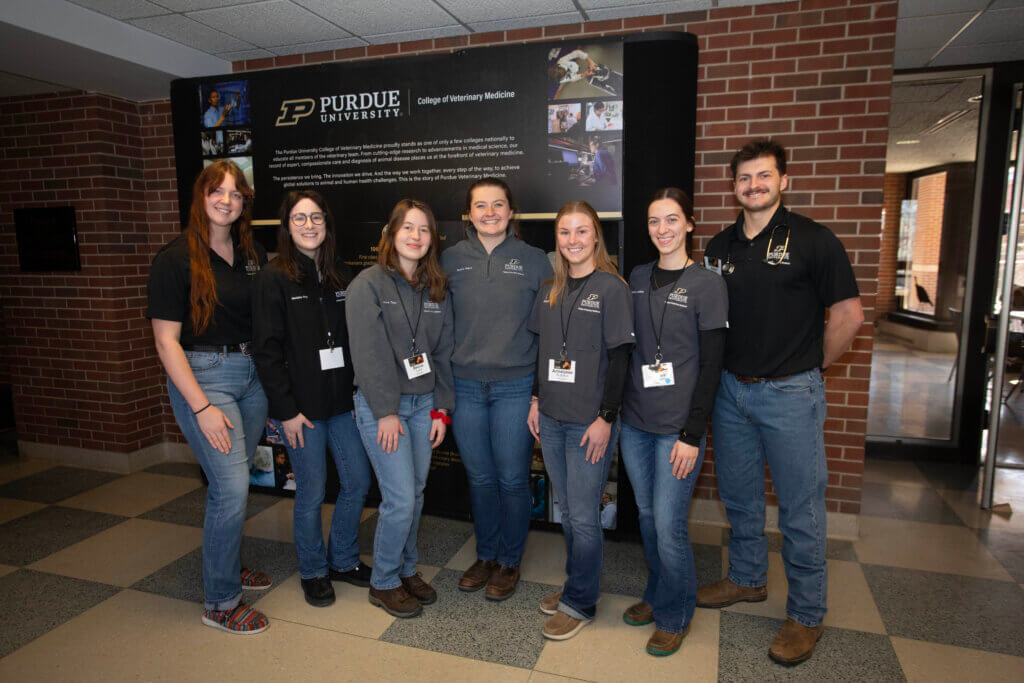A group of seven young veterinary volunteers pose for a group photo. They are all wearing neutral colored shirts and blue jeans. The background is a brick wall and the floor is a tile grid pattern