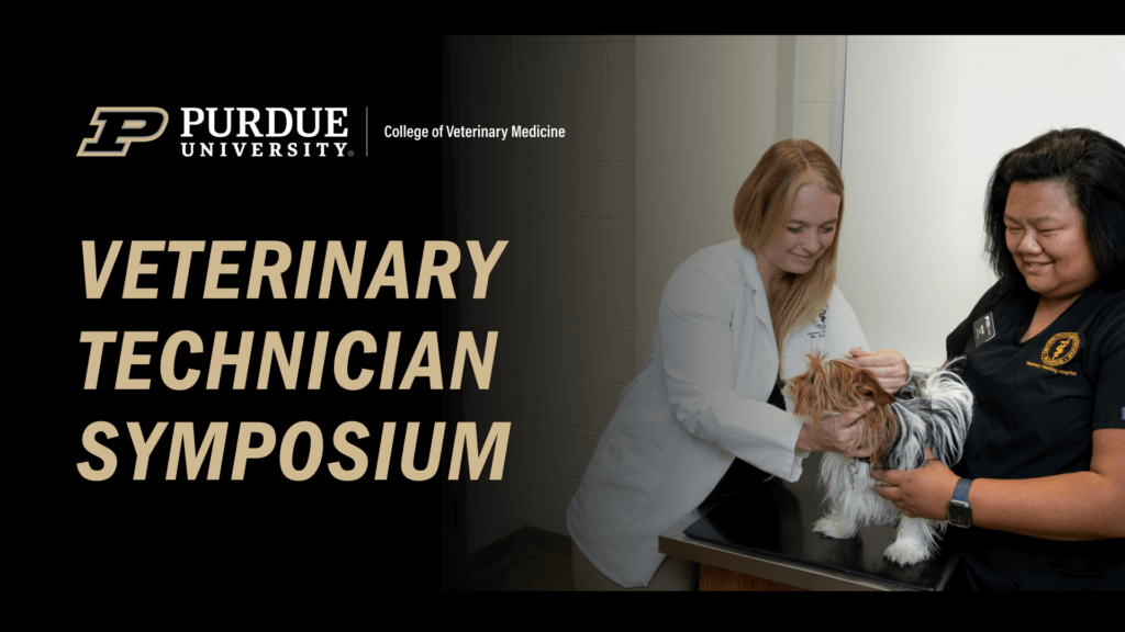 two veterinary medicine professionals, both female, examine a small dog. One is wearing a white coat, and the other is wearing a black shirt