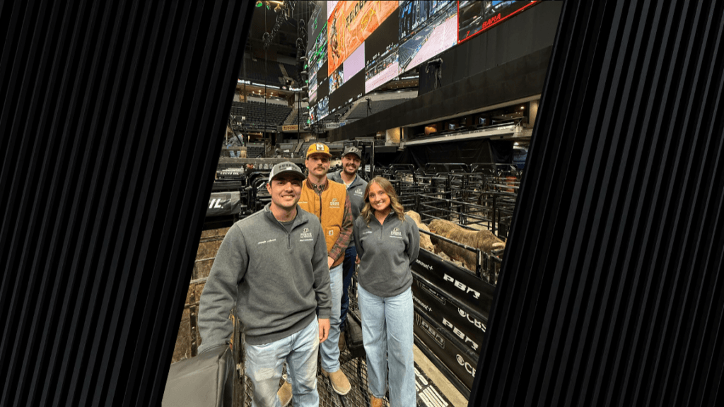 four individuals are standing in a livestock pin area. There are bulls behind them and large screens above them.