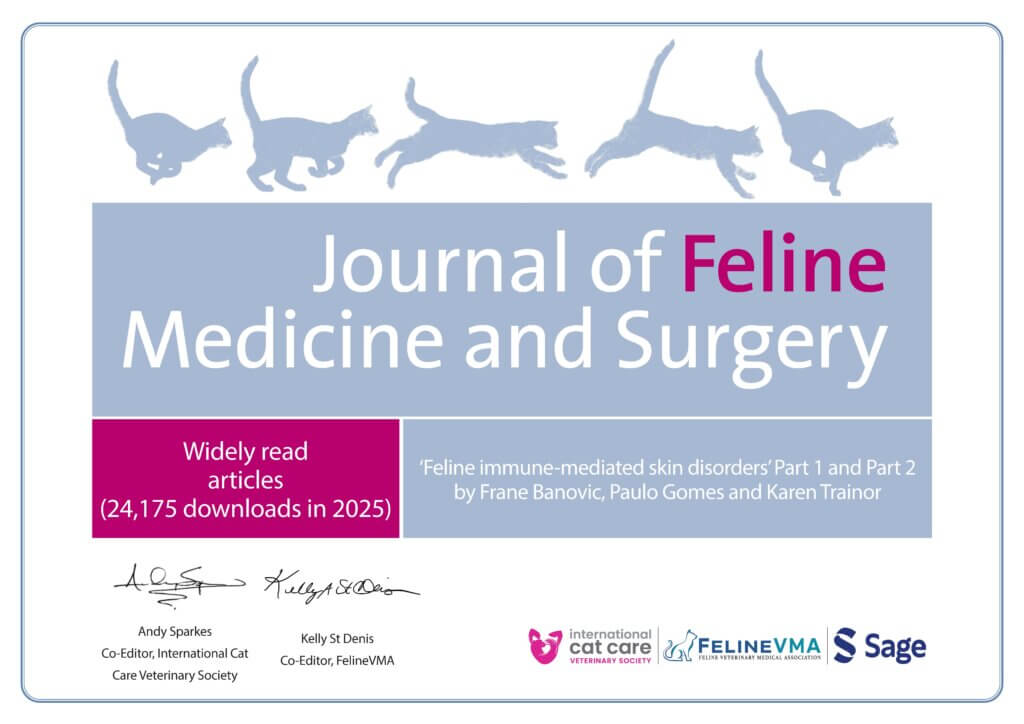 Graphic of a publication title