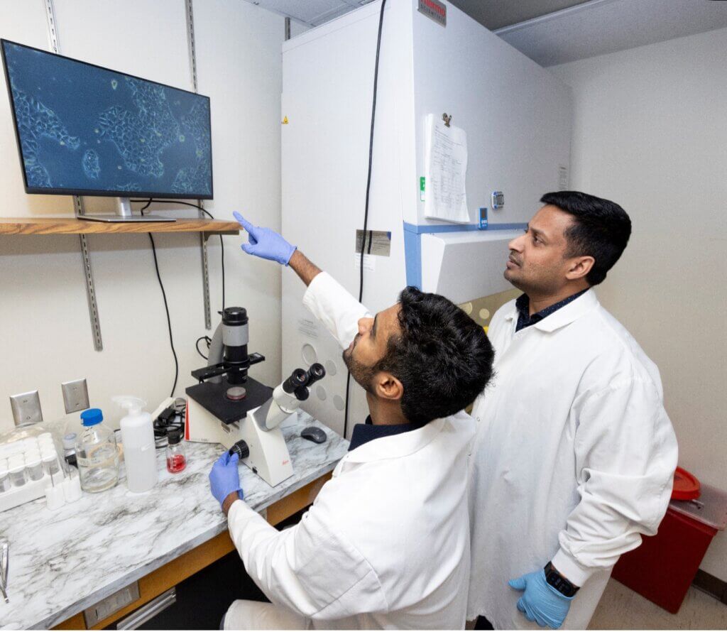 Two people are observing a microscope image that is being projected onto a monitor. They are wearing personal protective equipment and white laboratory coats.