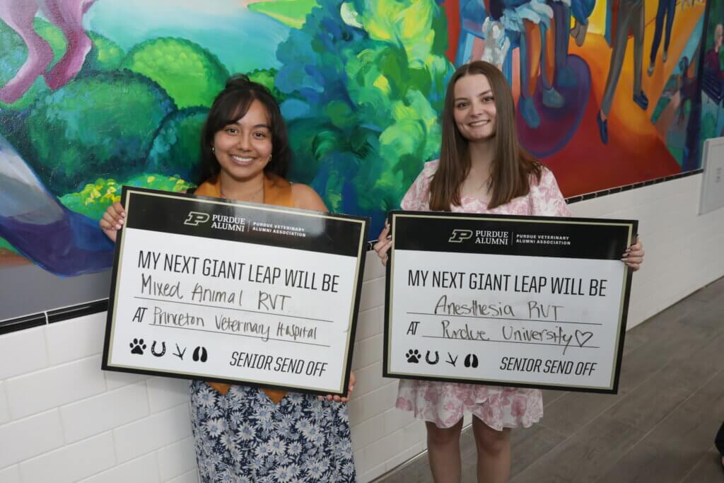 Two females are standing in front of a painted mural and are holding up black, white and gold "future plans" signs