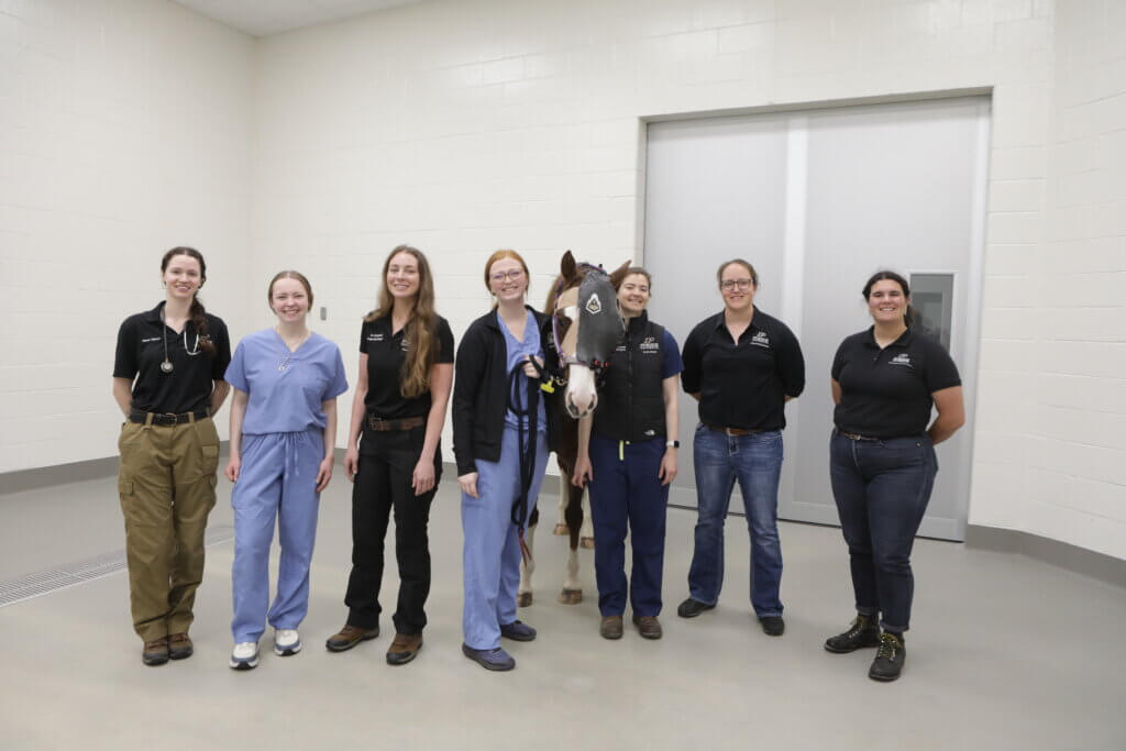 A large group of veterinary medicine professionals are standing in a white room with a horse.
