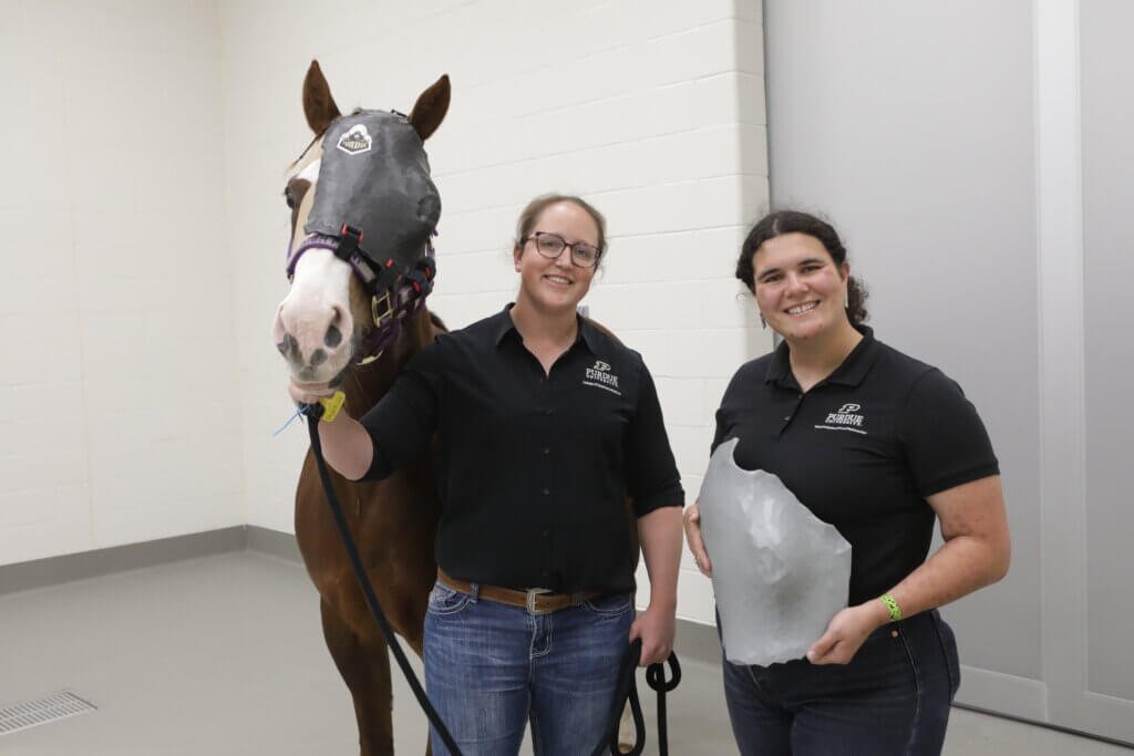 Two people are standing next to a horse. The person on the far right is holding a piece of medical equipment and the horse is wearing a recovery mechanism on its face
