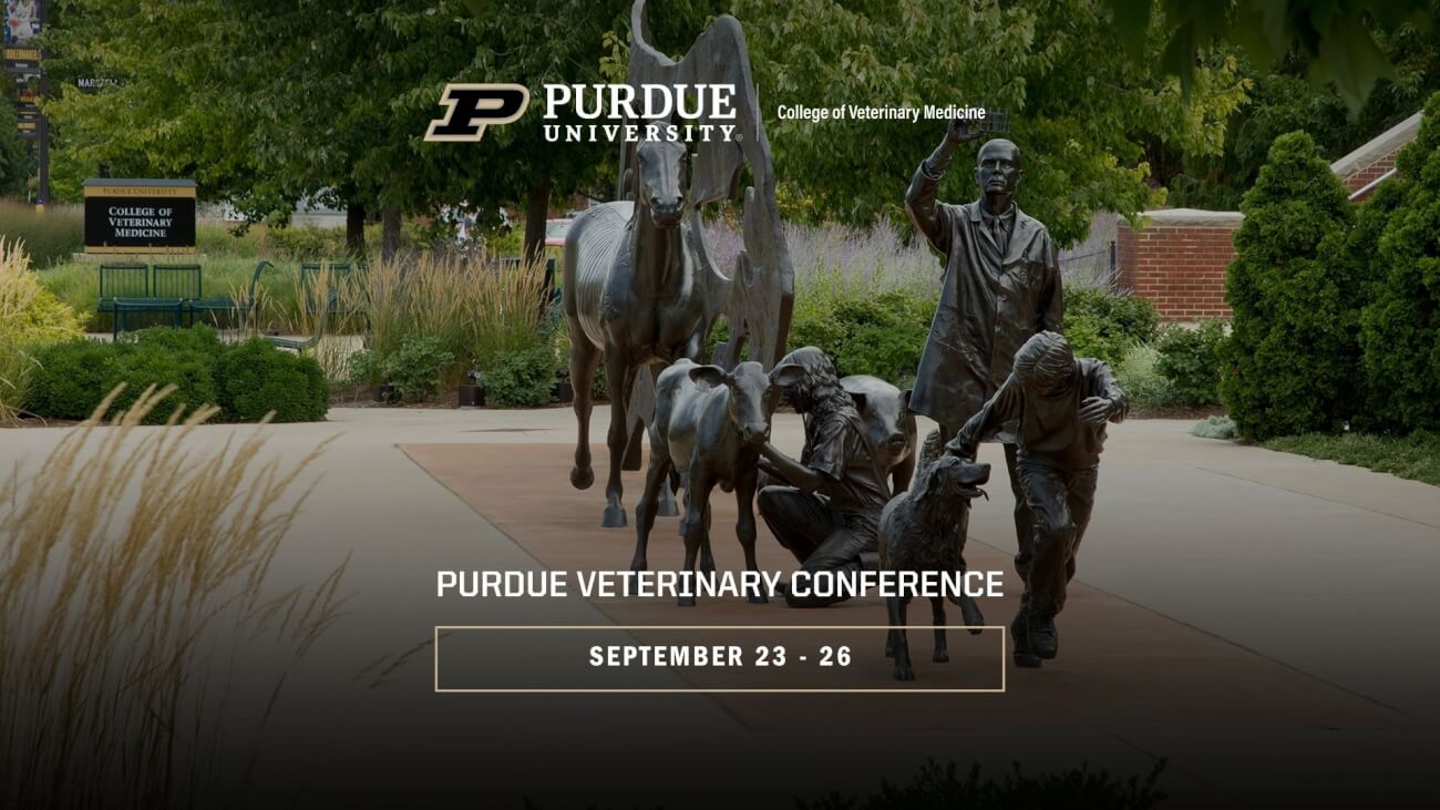 A photograph of an outdoor sculpture featuring humans and animals