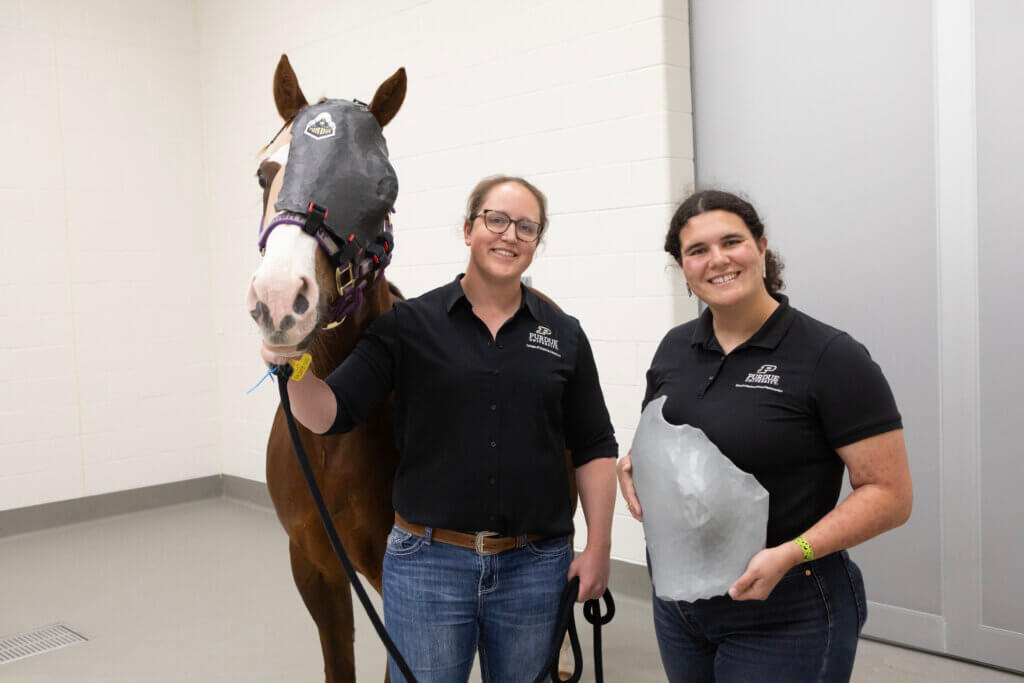 two people stand on the right side of a horse who is wearing a mask on its face.