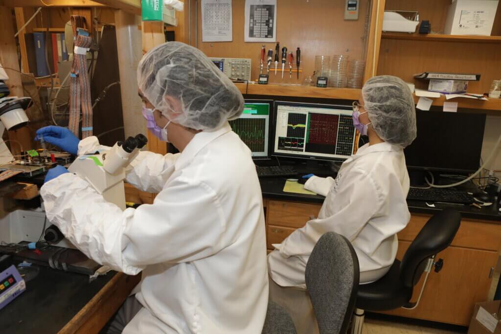 Two laboratory workers are working with laboratory equipment. The person on the left is focused on a microscope and the person on the right is working on a computer.
