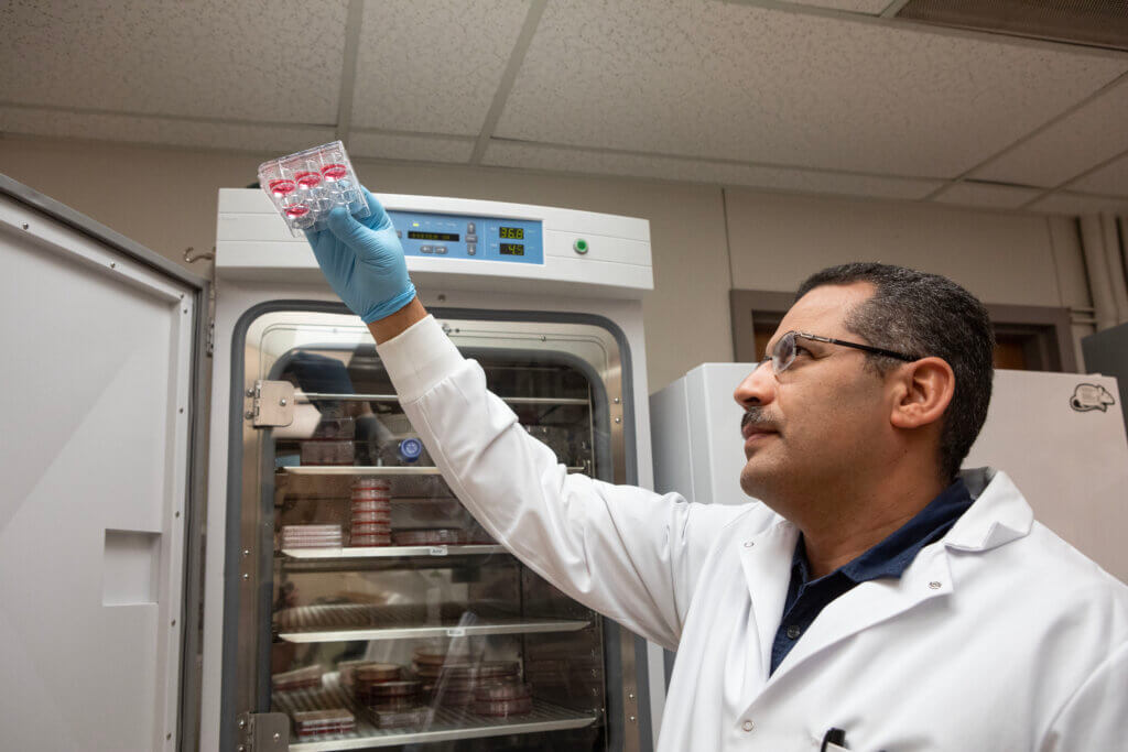 A laboratory scientist is wearing gloves and a white coat, and is holding up a case of red fluids, examining them.
