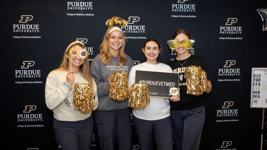 Four people stand next to each other posing for a photo, each are featuring a prop or sign related to Purdue University and fundraising. A sign says #PURDUEVETMED