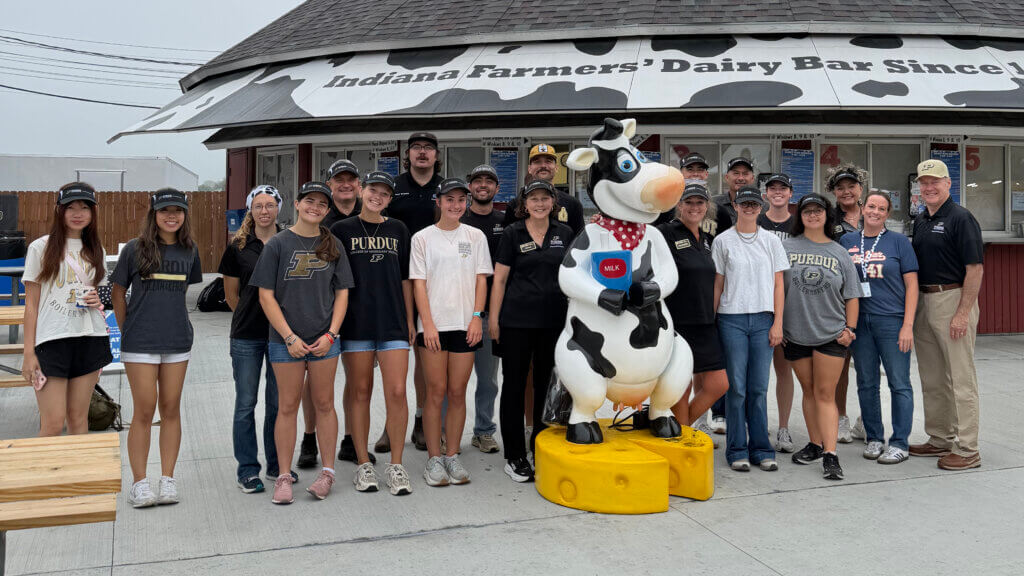 A large group of people are standing around a cow statue. The cow appears to be standing on a wheel of cheese.
