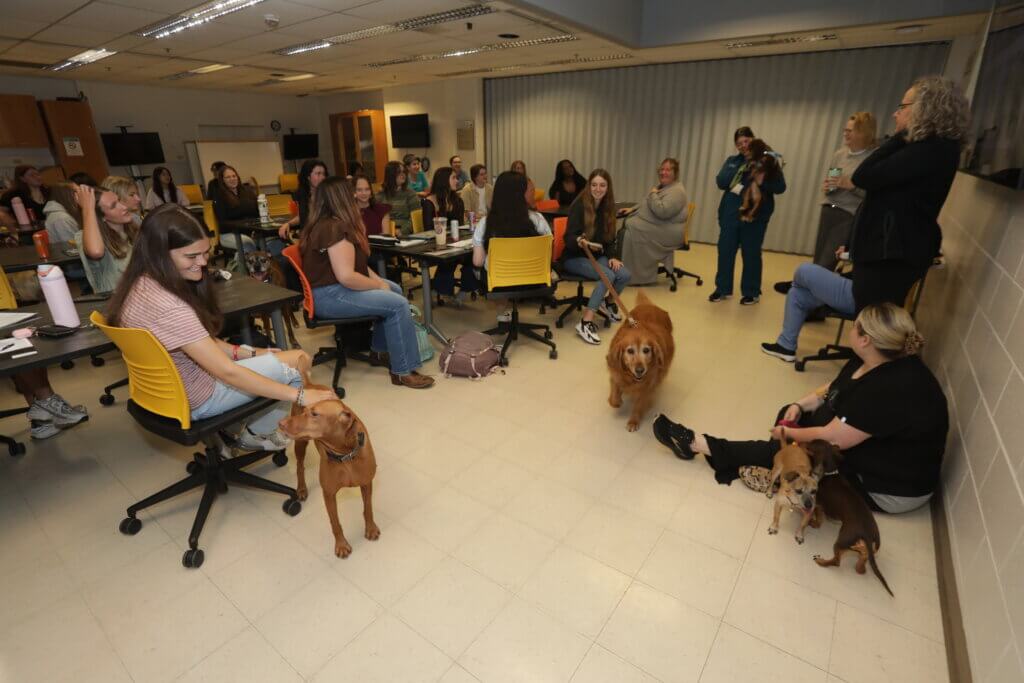 Several people are seated in a classroom and are handling leashed dogs