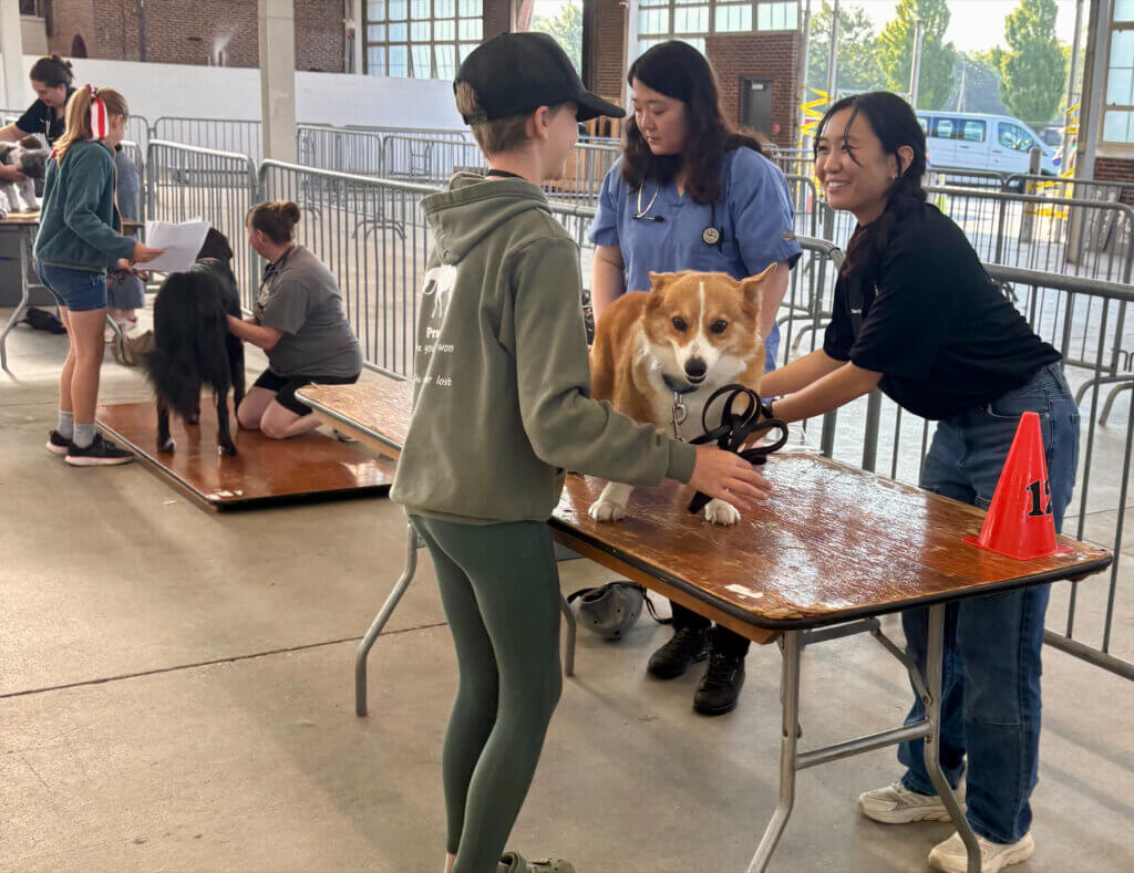 Two people are featured in the photo on opposite sides of the table with a dog between them