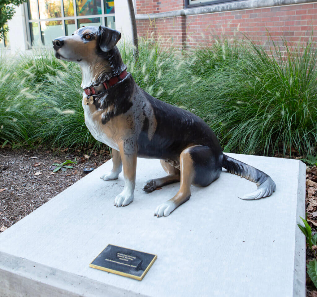 A statue of a small black and brown dog with a red collar, set outdoors in a garden setting.