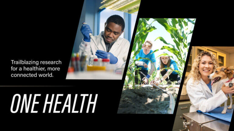 infographic containing images of scientists and large text that says "ONE HEALTH"