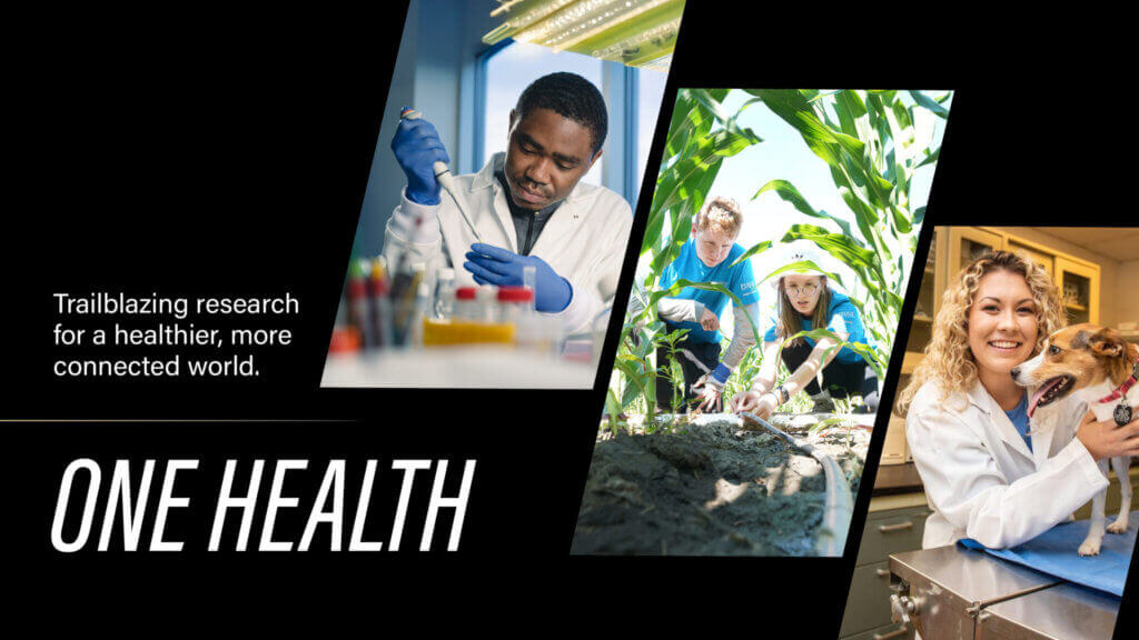 infographic containing images of scientists and large text that says "ONE HEALTH"