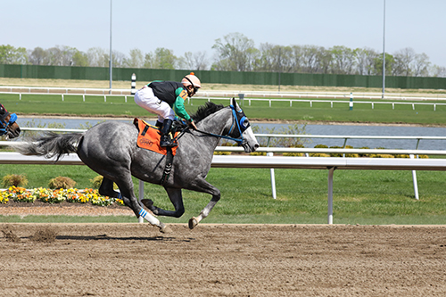 PVM Dedicates Centaur Equine Specialty Hospital at Grand Opening in