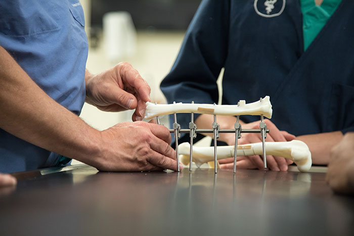 PVM students pin a 3D printed bone in an exercise to practice 'external fixation,' where pins are inserted through the skin into the bone and held in place by an external frame to give stability to a healing fracture.