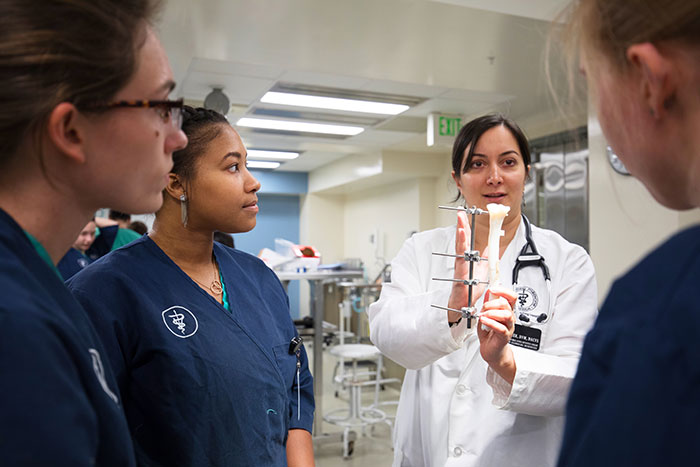 Dr. Sarah Malek teaches best practices in external skeletal fixation to Katie Sands, Tierra Rose, and Abbie Schultz, all from the DVM Class of 2018, using practice bones she commissioned to be 3D printed in the Purdue BoilerMaker Lab.