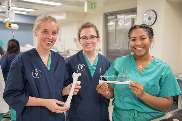 (Left — right) Abbie Schultz, Katie Sands, and Tierra Rose, all from the DVM Class of 2018, with their completed wired and pinned bones. These bone models were printed in a 3D printing lab in a partnership between the Purdue University College of Veterinary Medicine and the Purdue Polytechnic Institute’s BoilerMaker Lab.