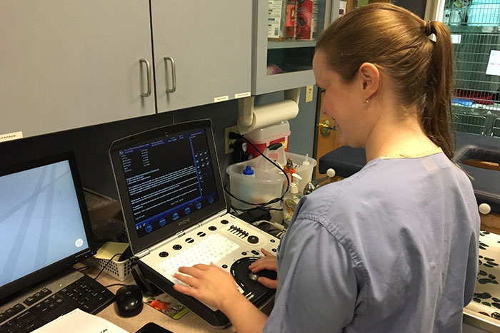 Dr. Melissa Tropf reviews information on her portable ultrasound machine as part of the cardiology extension service that PVM offers to veterinary clinics in the greater Indianapolis area.