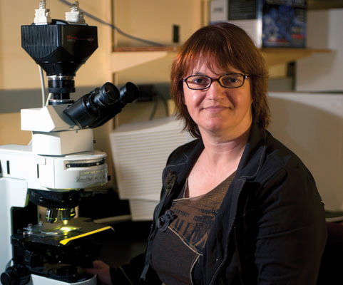 Dr. Sophie Lelièvre, professor of cancer pharmacology in the Purdue University College of Veterinary Medicine.