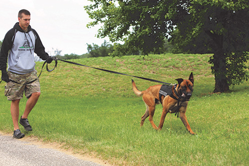 are police drug dogs trained for prescription drugs