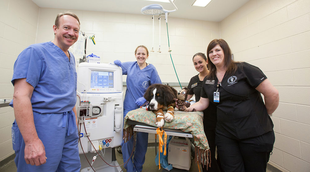 Purdue store vet clinic