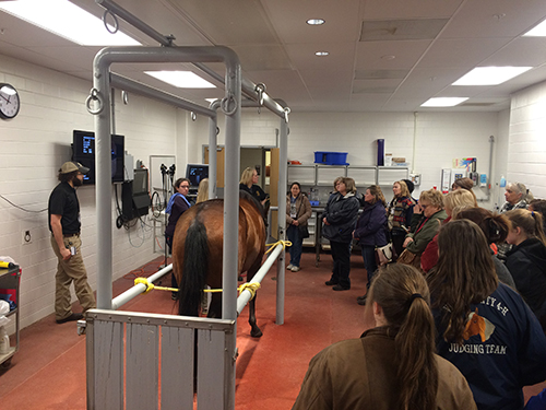 Dr. Sandy Taylor gives an equine endoscopy demonstration in the Large Animal Hospital during the 2018 Horseman's Forum. 