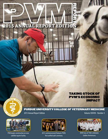 Annual 2015 PVM Report