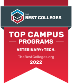 Purdue Veterinary Technology Program Ranked #1 by TheBestColleges.org