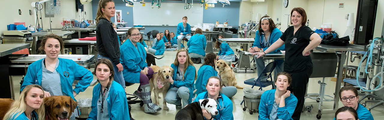 Learn More - College Of Veterinary Medicine - Purdue University