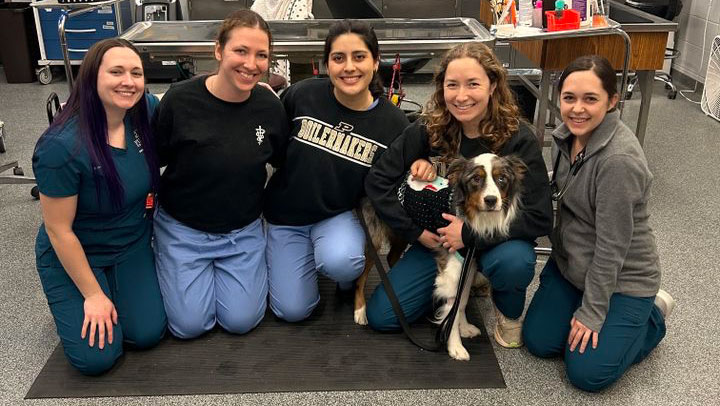 technician holding a dog