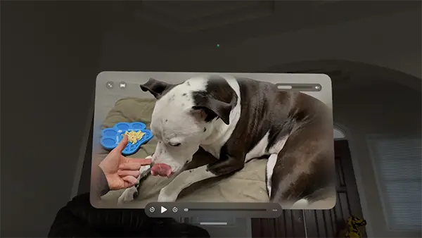 The app user interface showing a human interacting with a dog