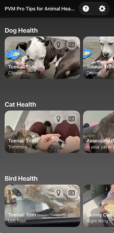 The app user interface showing Dog Health and Cat Health videos