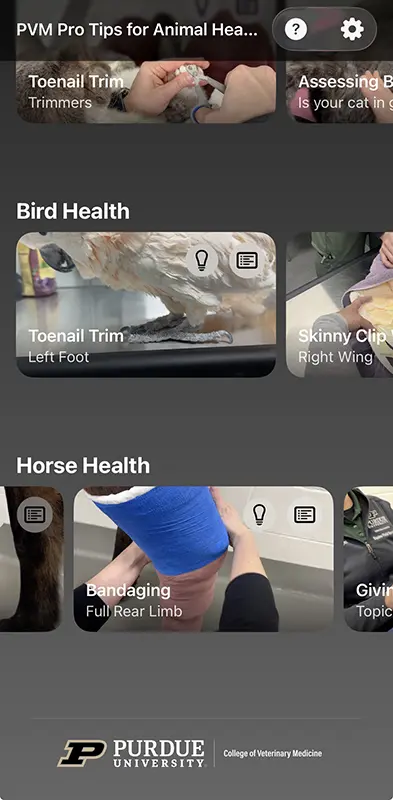 The app user interface showing Bird Health and Horse Health videos