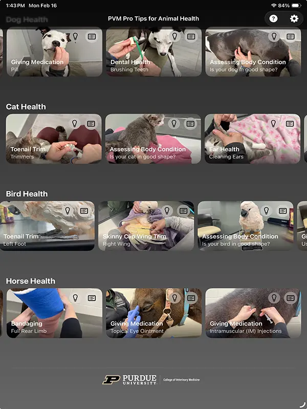 The app user interface showing a variety of health tips options