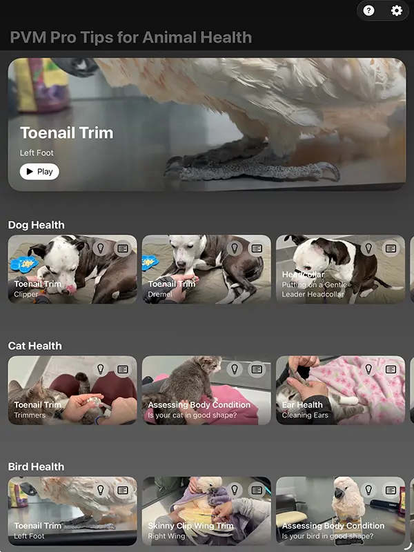 The app user interface showing a variety of health tips options highlighting toenail trim
