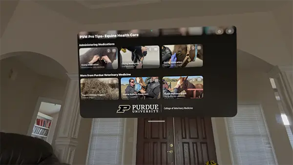 The app user interface showing a variety of horse-related videos to watch