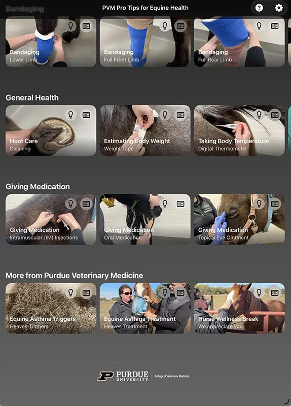 The app user interface showing a variety of health lessons including bandaging, general health, and giving medications