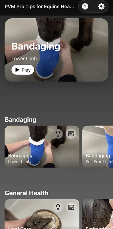 The app user interface showing a lesson on bandaging lower limbs on horses