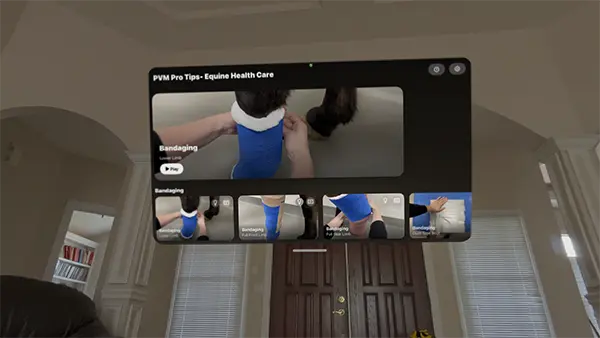 The app user interface showing a person wrapping a horse's leg