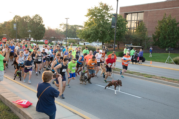 racers and their dogs during the 5k run/walk