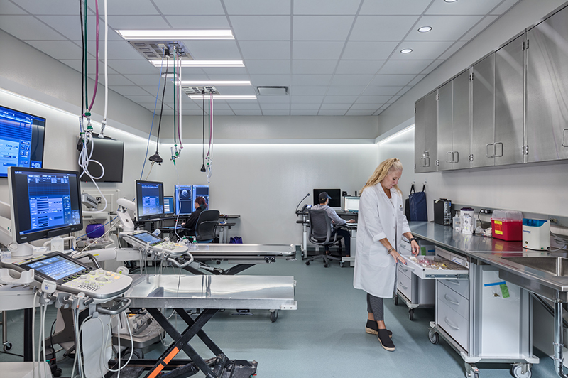 image of Diagnostic Imaging