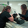 video of Diagnostic Imaging