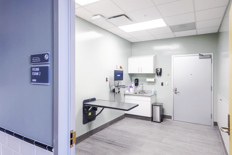 image of Exam Rooms